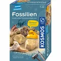 KOSMOS Fossilien Experimentierkasten Ausgrabungs-Set Versteinerungen ausgraben