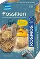Fossilien Experimentierkasten Spiel 657918 Deutsch 2021 Franckh-Kosmos