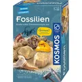 Kosmos 657918 Fossilien Ausgrabungs-Set Experimentierset für Kinder ab 7 Jahre