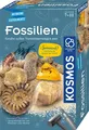 KOSMOS 657918 Fossilien Ausgrabungs-Set, Grabe echte Versteinerungen aus, Kinder