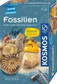 KOSMOS 657918 Fossilien Ausgrabungs-Set mit echten Versteinerungen ab 7 Jahren