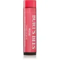 Burt’s Bees Tinted Lip Balm Lippenbalsam Farbton Rose 4.25 g