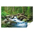 Wallarena Fototapete Wald Wasserfall Natur Wohnzimmer Schlafzimmer Vlies Tapete, Premium Halbmatt Glatt Vlies, Landschaft, Wald, Natur, (Packung, Vlies Fototapete), Fototapete Wohnzimmer Schlafzimmer - Vliestapete inklusive Kleister 2.5 m x 1.75 m