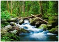 Fototapete Wasserfall mit Wald 3D Effekt Grün Natur 250x175 cm - inkl. Kleister - für Wohnzimmer Schlafzimmer Flur Modern Vlies Tapete Vliestapete Wandtapete Motivtapeten UV-Beständig