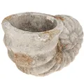 Deko Muschel Blumentopf Beton Stein-Optik Vintage 22,5x13,5cm
