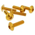 Bolzen 6-teiliges Schraubenset M5x20 goldfarben für Verkleidungsteile und Trittb