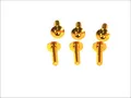 Für VICMA VIC-TA520OR Windshield fitting bolt Allen flat (M5x20, colour golden)
