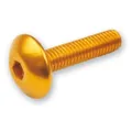 Gratis Versand Kit 6 Inbusschrauben Zylinderkopf M5x20 Gold V PARTS