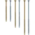 Hobotec Zierkopfschraube 3,2x40 TG T 10 WE-VZ Zierkkopf