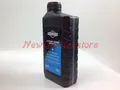 Motoröl 4T SAE SW30 1 Lt Für Schnee Niedrige Temperaturen BRIGGS 320364 100007W