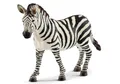 Schleich GIOVANE FEMMINA DI ZEBRA 12 x 3,2 x 8,5 cm