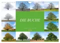 Tatjana Balzer | Die Buche: Jahresplaner 2026 (Wandkalender 2026 DIN A4...