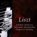Ignace Jan Paderewsk - Ignaz Jan Paderewski Performs Liszt [New CD]