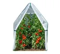 WESTMANN Tomatengewächshaus Peperoni 180x180x200 cm | Tomatenhaus & Foliengewächshaus für Tomaten & Gemüse | stabiles Pflanzenschutzhaus für Frühling–Herbst | begehbares Saison-Gewächshaus