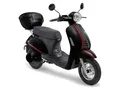 Luxxon E-Roller E3000 (25 km/h, schwarz)