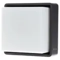 Steinel Sensor-LED-Außenleuchte L 845 SC mit BWM