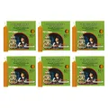 OLShop AG Knox Pyramidenkerzen Natur, 6er Pack (6 x 12 Stück), Größe: ca. 17 x 100 mm Weihnachtskerzen