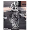 VBS Malvorlage Malen nach Zahlen Katze und Tiger, 40 cm x 50 cm auf Keilrahmen grau