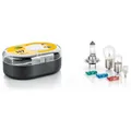 Sortiment Glühlampen 12 V T4W Halogen HELLA Licht-Expertise passend für VW