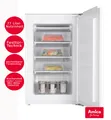 Einbau Gefrierschrank 77L Festtür-Technik 4 Schubladen 56cm breit Amica  B-WARE!