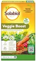 Solabiol Veggie Boost, Biostimulanz aus rein pflanzlichen Extrakten verbessert und reguliert die natürlichen physiologischen Prozesse der Pflanzen, 250 ml Konzentrat