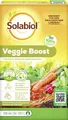 Solabiol Veggie Boost Pflanzenstärkungsmittel 250 ml