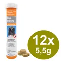 Alfavet Dia Tab Röhre 12x5,5g Hund Katze bei & nach Durchfall (271,21 EUR/kg)