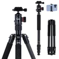 Rollei C5i Stativ Kamera Schwarz, 158cm Reisestativ Leicht aus Carbon Fotostativ mit Kugelkopf & Stativtasche Verwendbar als Macrostativ & Monopod Kompaktes Dreibeinstativ für DSLR & Smartphone