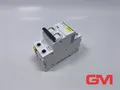 Schneider Electric Leitungsschutzschalter A9F04202 circuit breaker iC60N C2A