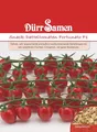 Datteltomatensamen Fortunato F1 – ertragreiche Profi-Sorte, platzfeste Früchte