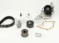 Original CONTINENTAL CTAM Wasserpumpe + Zahnriemensatz CT920WP3 für Audi Skoda