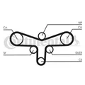 CONTINENTAL CTAM (CT920WP3) Wasserpumpe+Zahnriemensatz für AUDI SKODA VW