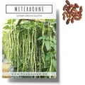 Meterbohne Samen (Vigna unguiculata) - Spargelbohnen Saatgut ideal für die Anzucht im Garten, Balkon oder Terrasse