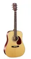 CORT EARTH100 NS
