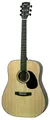CORT Earth 100 NS2 Dreadnought Akustik-Gitarre