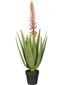 Kunstpflanze Mica Decorations Kunstpflanze Aloe vera im Topf, Mica Decorations