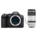 Canon EOS R6 Mark II + RF 100-500mm f/4.5-7.1 L IS USM