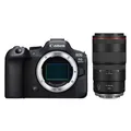 Canon EOS R6 Mark II + RF 100mm f/2,8 L MACRO IS USM