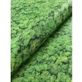 Newroom Vliestapete Moos Light Moos Floral FSC®
