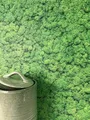 Newroom Tapete Grün Vlies Moosoptik - Floral 3D Relief Naturtapete für Wohnzimmer Schlafzimmer