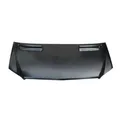 DIEDERICHS Motorhaube für Mercedes-Benz Sprinter 35-T Bus 906 1663100