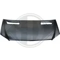 DIEDERICHS Motorhaube 1663100