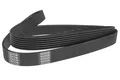 Keilrippenriemen DENCKERMANN 5PK1135 für AUDI A6 C6 4F2 Avant 4F5 A8 D3 4E2 4E8