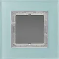 Jung Rahmen LSP981GLAS - 1-Fach, Waagerechte und Senkrechte, Glas, Transparent