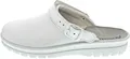Westland Clog