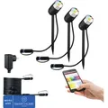 Paulmann Plug & Shine LED Spot Starterset RGBW IP44 3x4,5W 170 lm 3000-6500 K Pike anthrazit 230/24V 3 Stück - Kompatibel mit SMART HOME by hornbach - Grau