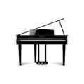 Kawai DG-30