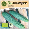 Gurken Samen (BIO) - 5 Samen Gemüsesamen Gurkensamen Bono Freilandgurke