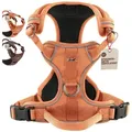 Freudentier Hunde-Geschirr Hundegeschirr mit atmungsaktiver Polsterung, perfekter Sitz, Anti-Zug Brustgeschirr, reflektierend orange XL