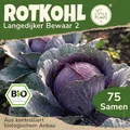 Little Plants BIO Rotkohl Samen 75 Rotkohlsamen Blaukraut Gemüsesamen Gemüsesaatgut Samenfest für Gemüsegarten, Hochbeet, Küche, Balkon und Garten